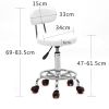 Round Shape Adjustable Salon Stool with Back and Line White Anti-rust Chair